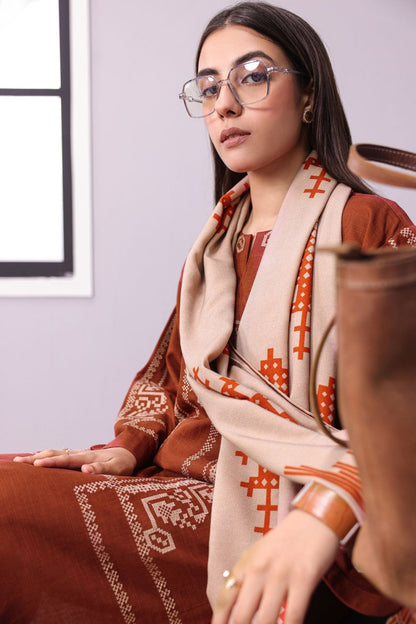 3 Pc Embroidered Khaddar Outfit