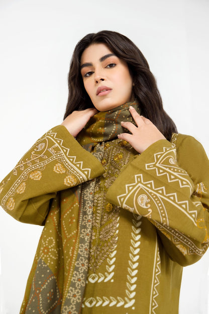 3 Pc Embroidered Khaddar Outfit